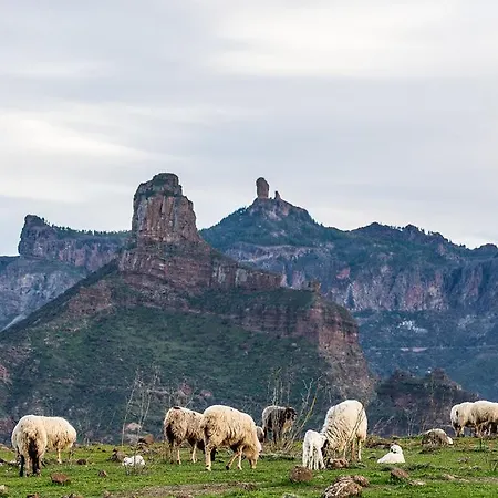 Апартаменти Mananem *